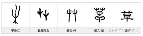 草字頭好字|部首是「艸」的國字一覽